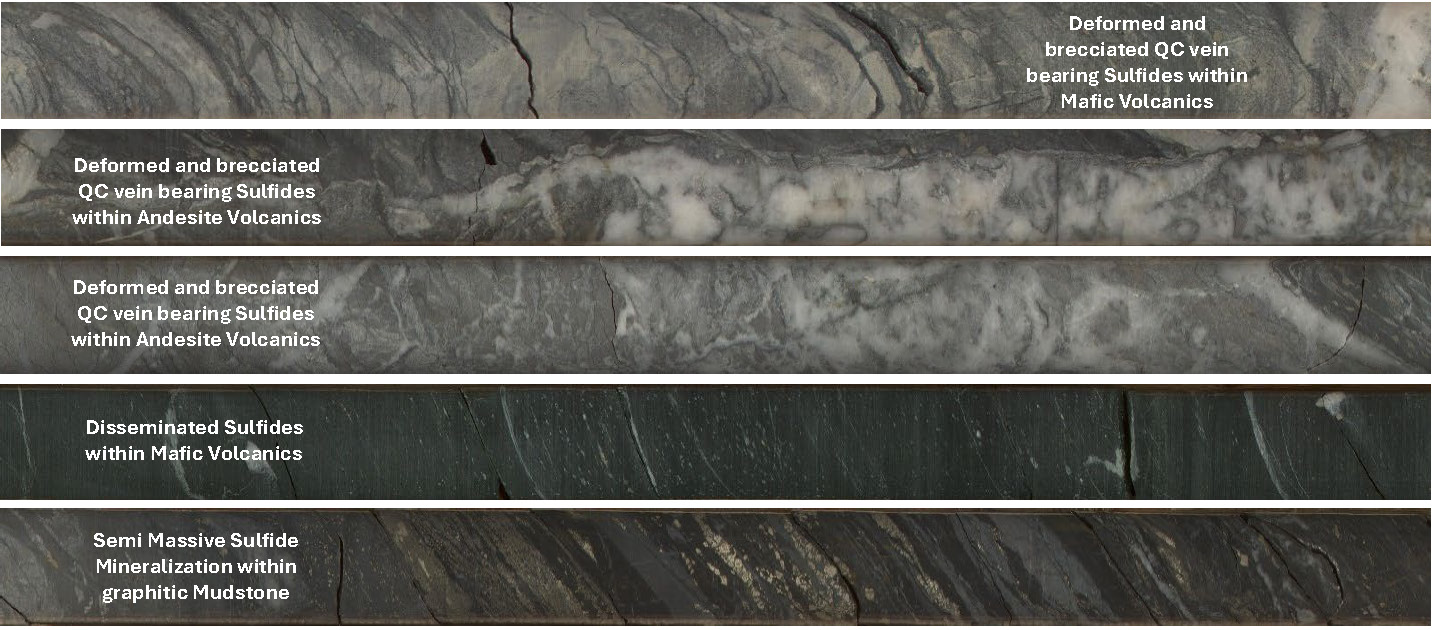 Figure 3 - Forms of Mineralization intercepted along the drill hole N2-25-008.