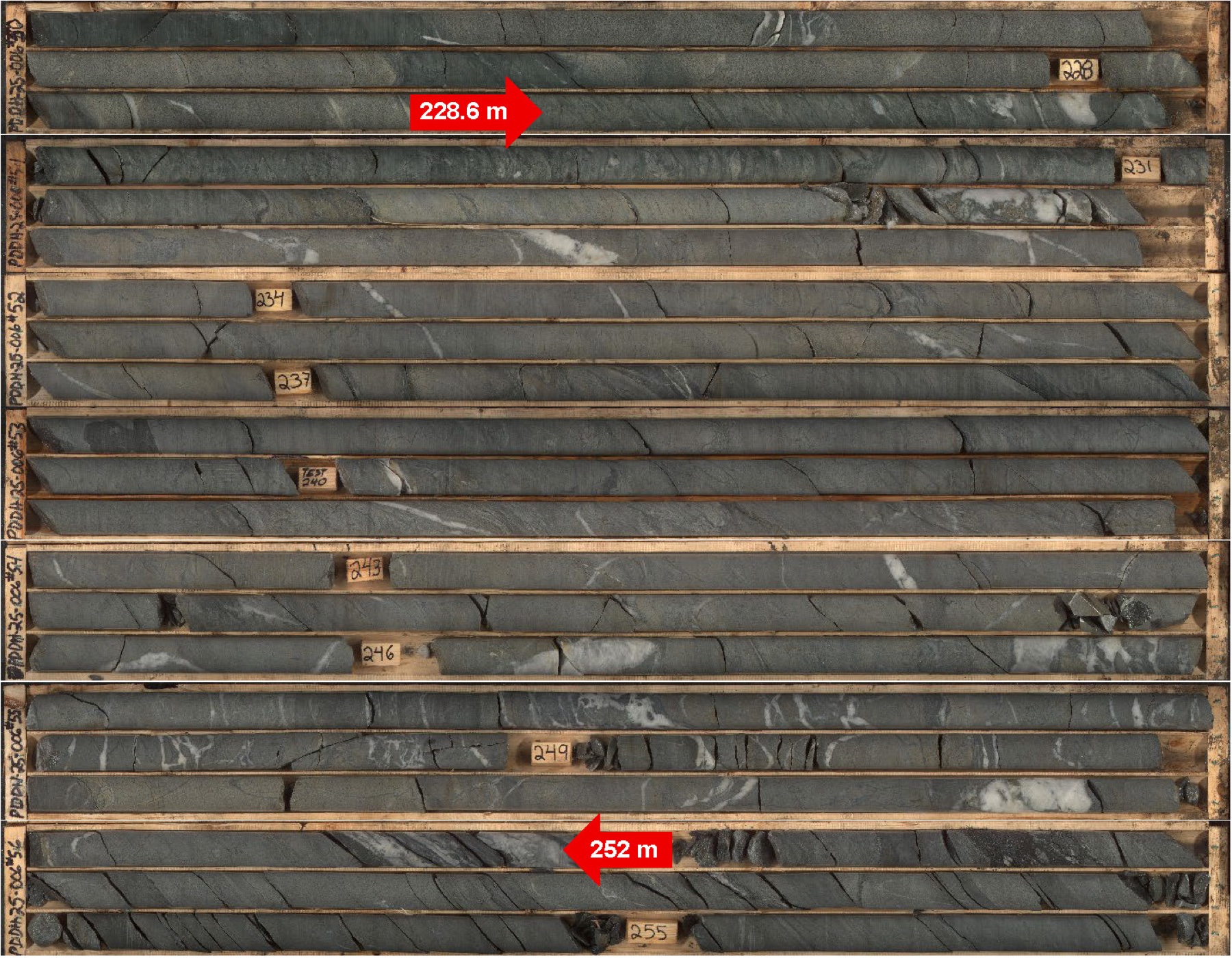 Figure 2- Forms of Mineralization intercepted along the drill hole N2-25-006.